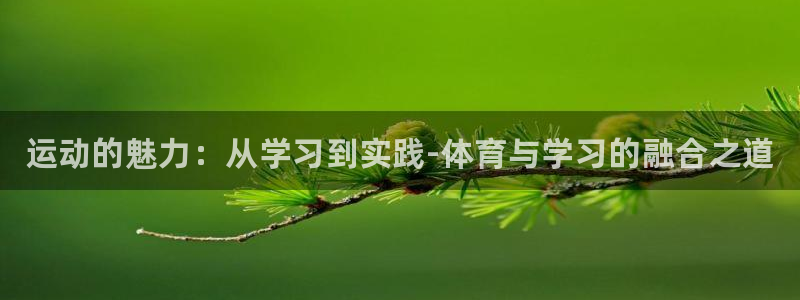 利记官方正版app开户:运动的魅力:从学习到实践-体育与学习