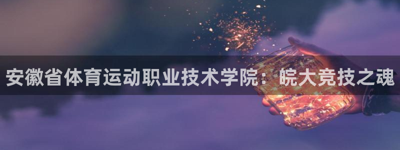利记官方正版app神州:安徽省体育运动职业技术学院:皖大竞技