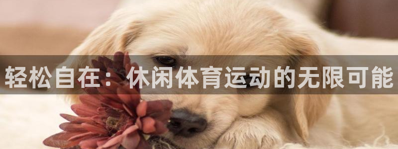 利记官网下载平台注册要钱吗:轻松自在:休闲体育运动的无限可能