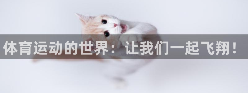 利记官方正版app娱乐代理怎么样:体育运动的世界:让我们一起